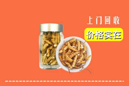 收购资讯:石家庄藁城区回收散虫草