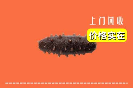 收购资讯:石家庄藁城区回收海参