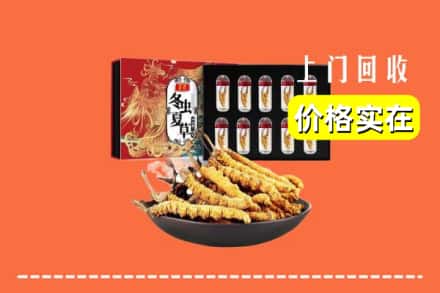 石家庄藁城区回收虫草