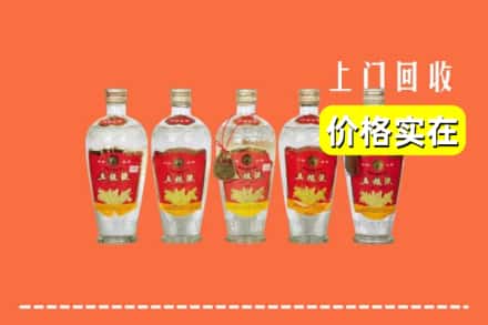 石家庄藁城区回收老五粮液